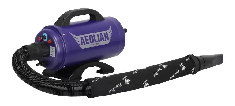 Aeolian Purple Pro Single Motor Force Dryer