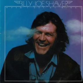 Billy Joe Shaver – When I Get My Wings (VG /VG )