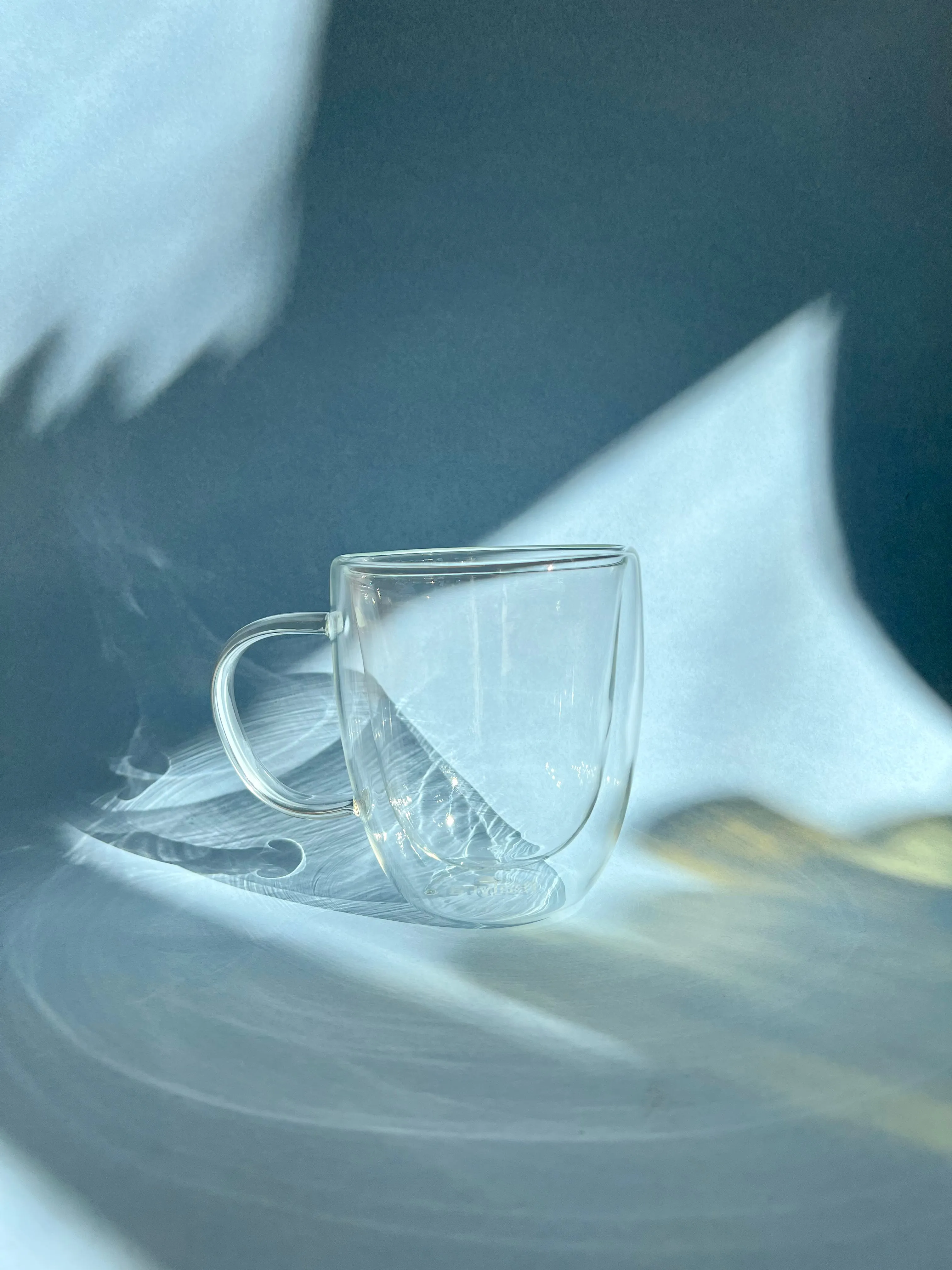 Double Wall Glass Mug