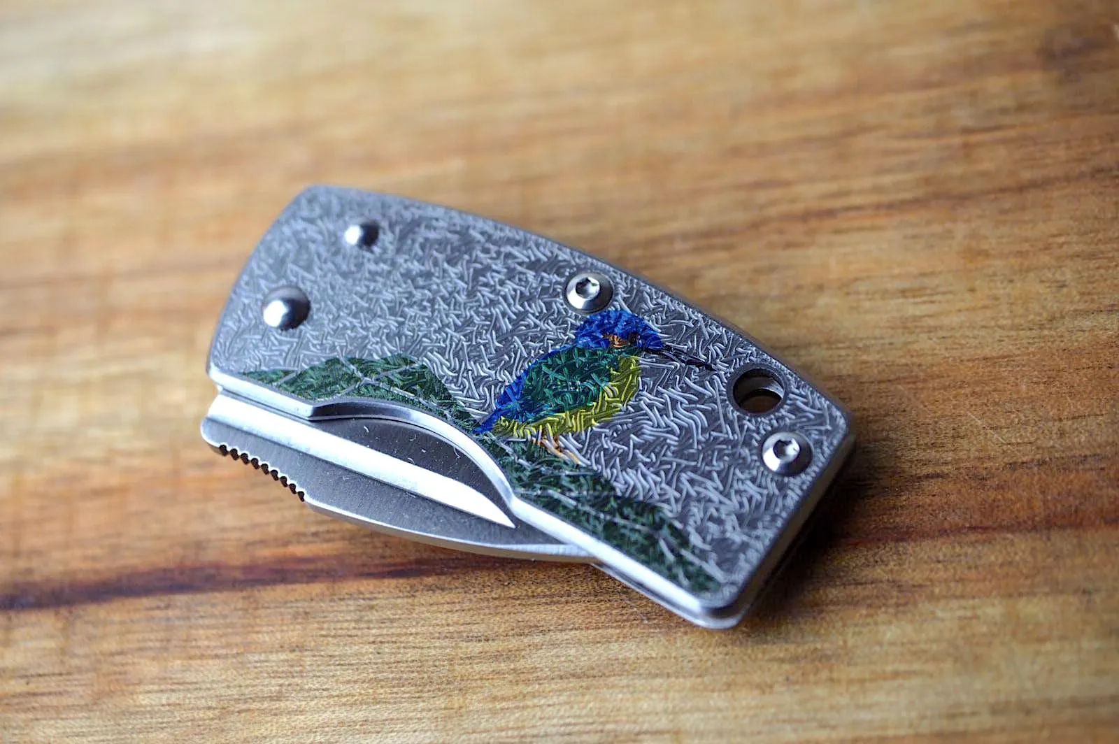 Money Clip Knife - Kingfisher (Kawasemi) Print VG10 Core Steel