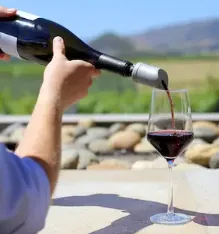 "The Wave" Wine Purifier and Aerator