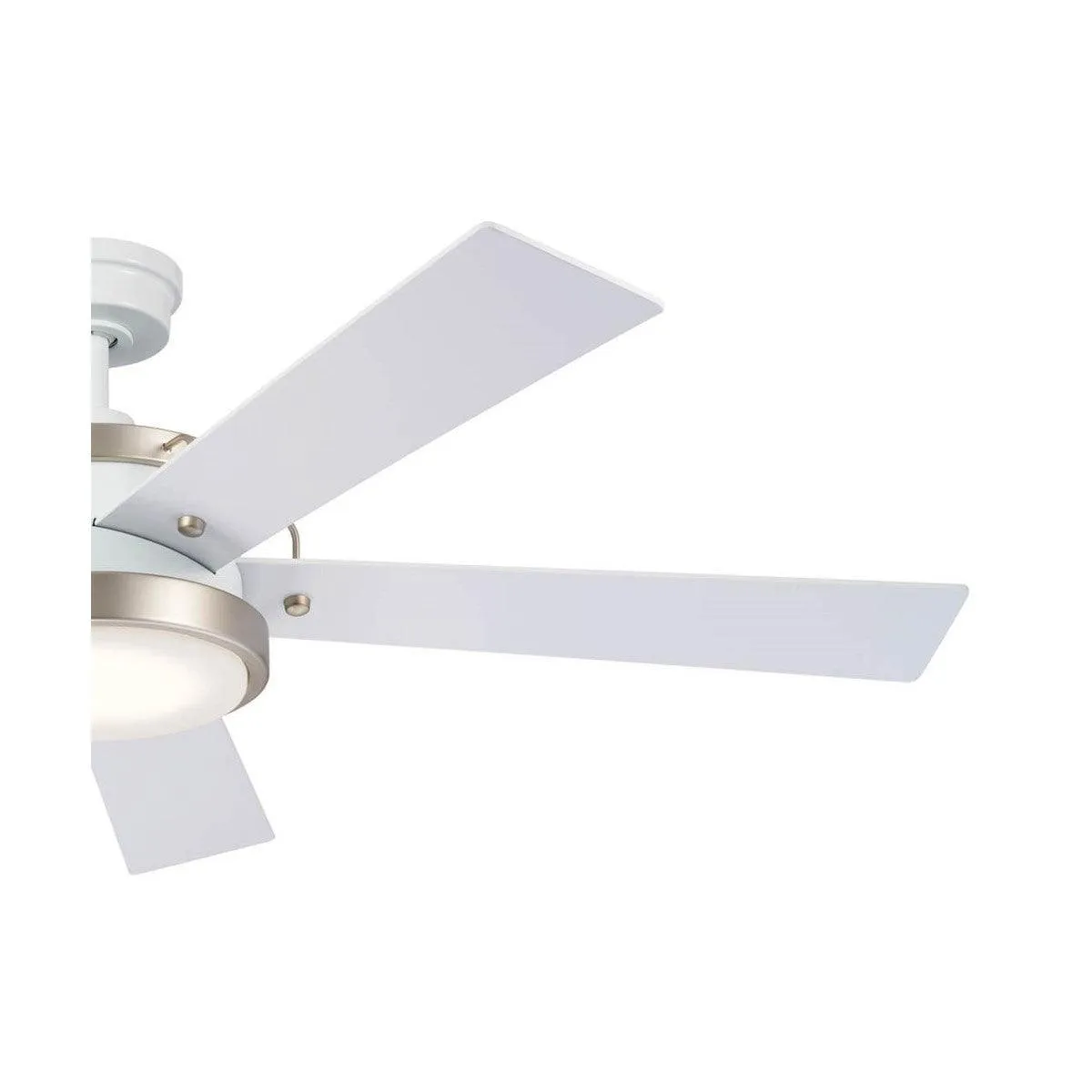 Salvo 56 Inch White LED Ceiling Fan with Wall Control