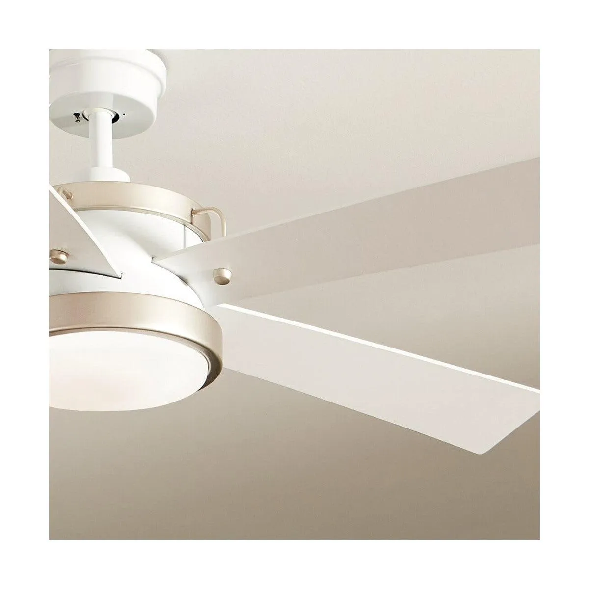 Salvo 56 Inch White LED Ceiling Fan with Wall Control