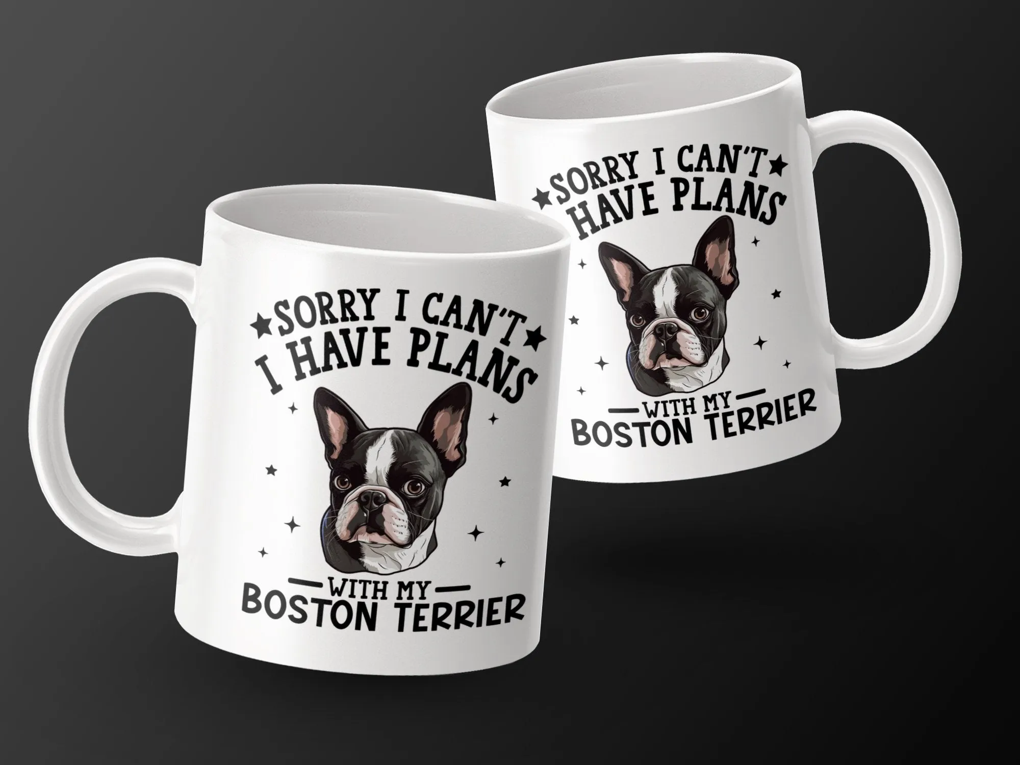 Sorry I Can't I Have Plans With My Boston Terrier Mug