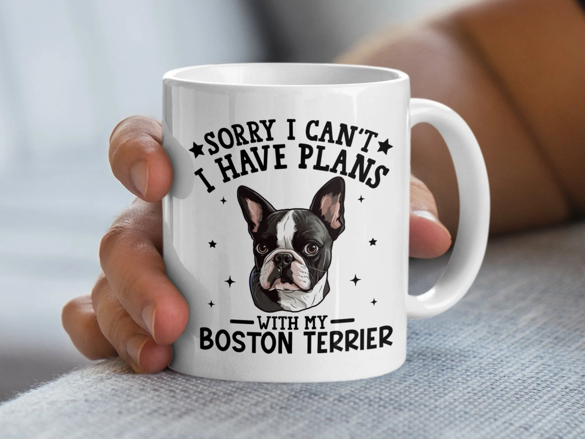 Sorry I Can't I Have Plans With My Boston Terrier Mug